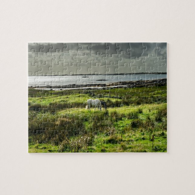 Connemara ponies Galway Ireland. Jigsaw Puzzle (Horizontal)