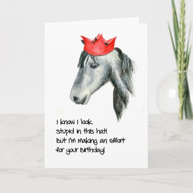 Connemara Pony Humourous Birthday Card (Front)