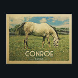 Conroe Texas Horse Farm -Vintage Travel Postcard<br><div class="desc">Conroe Texas rural vintage travel postcard.  It features a white horse grazing on green grass with fence and blue clouds sky above. A fun country farm image with rustic charm.</div>