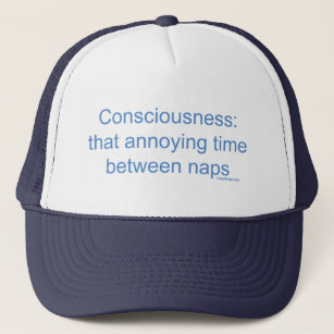 Consciousness: that annoying time between naps trucker hat