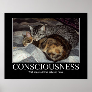 Consciousness..That Annoying Time Cat Artwork Poster