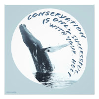 Conservation Is Only Successful With Your Help