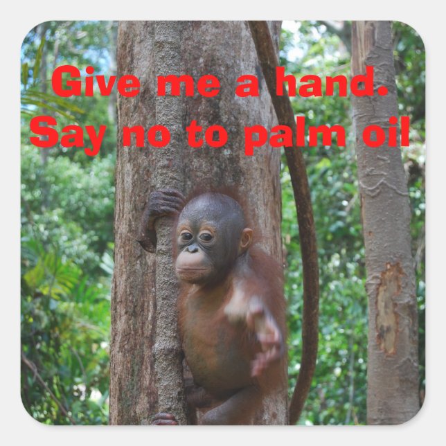 Conservation Nature Square Sticker (Front)