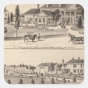 conservatories and school square sticker