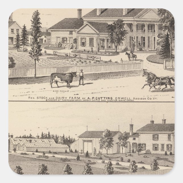 conservatories and school square sticker (Front)