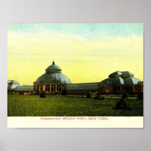 Conservatory, Bronx Park, New York Vintage Poster