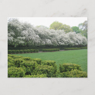 Conservatory Garden Central Park New York City NYC Postcard