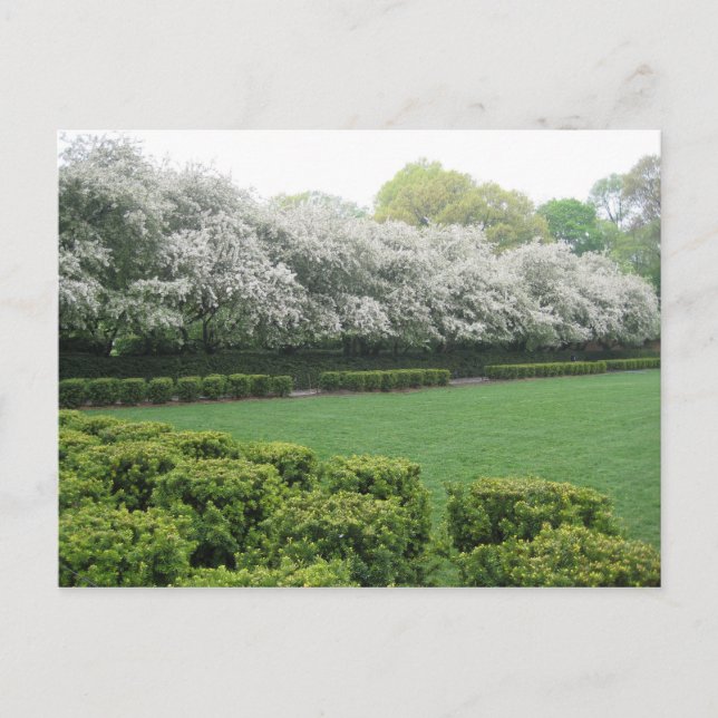 Conservatory Garden Central Park New York City NYC Postcard (Front)