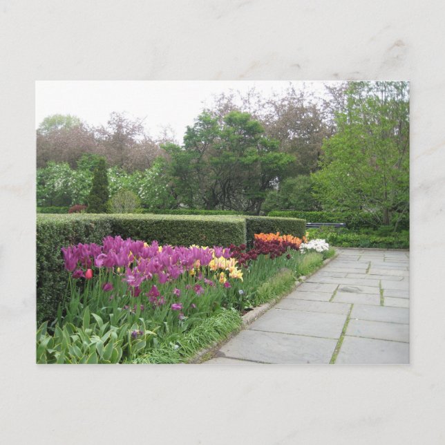 Conservatory Garden (Central Park, New York City) Postcard (Front)