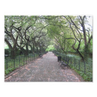 Conservatory Garden Central Park NYC Photography