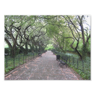Conservatory Garden Central Park NYC Photography Photo Print
