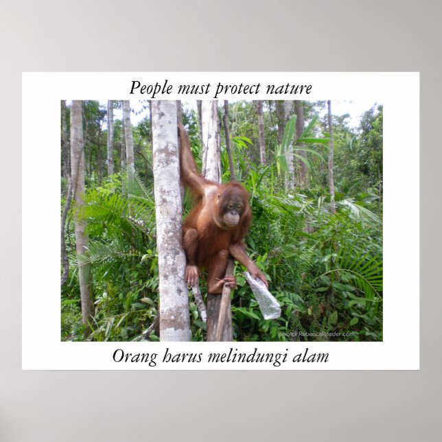 Conserve Nature Wildlife Poster (Front)