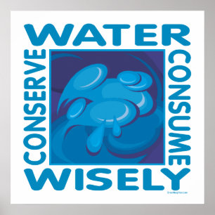 Conserve Water - Use Wisely Poster