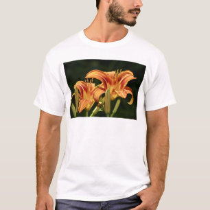 Consider The Lilies Of The Field T-Shirt