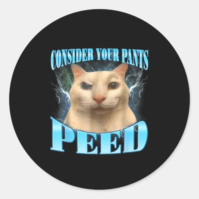 Consider Your Pants Peed Funny Freak Cat Meme Humo Classic Round Sticker (Front)