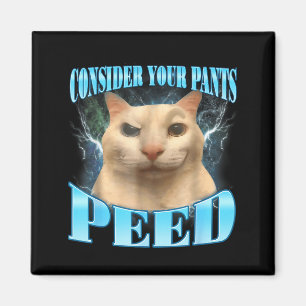 Consider Your Pants Peed Funny Freak Cat Meme Humo Magnet