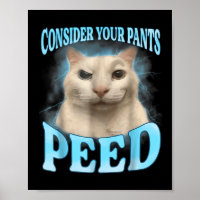 Consider Your Pants Peed Funny Freak Cat Meme Humo