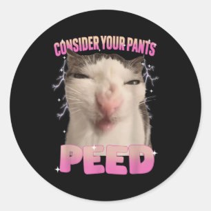 Consider Your Pants Peed Silly Cat Meme Funny Men Classic Round Sticker
