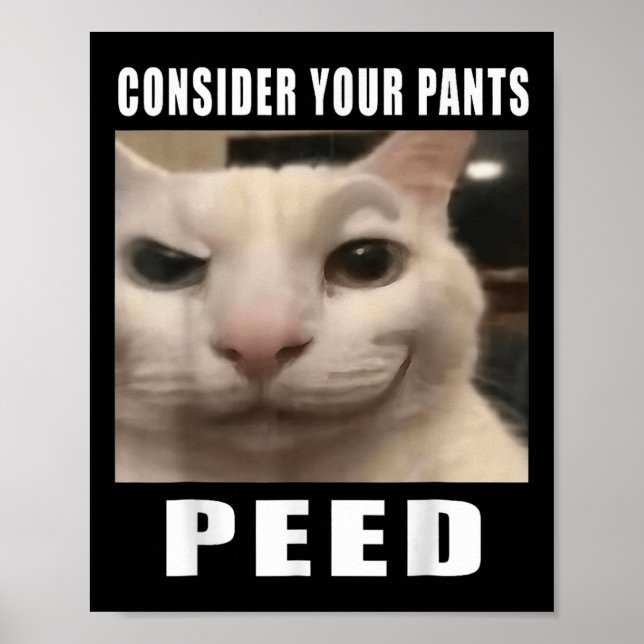 Consider Your Pants Peed Silly Cat Meme Men Women  Poster (Front)
