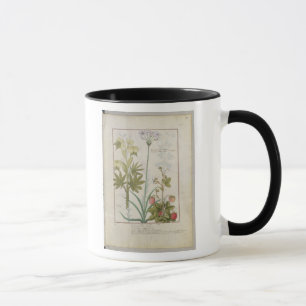 Consiligo, Burreed and Strawberry Mug