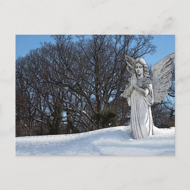 Consoling Angel • Sunshine Postcard (Front)