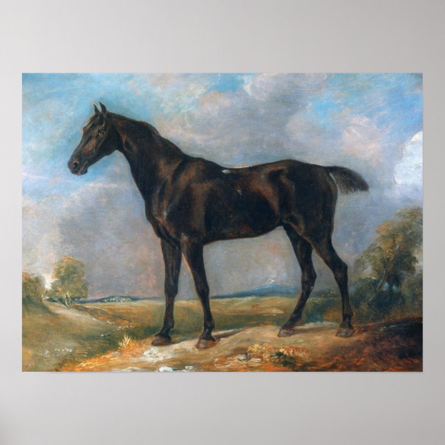 Constable - Golding's Black Riding-Horse Poster (Front)