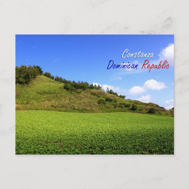 Constanza Dominican Republic PostCard (Front)