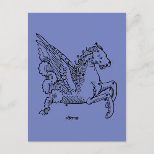 Constellaion: Pegasus Postcard