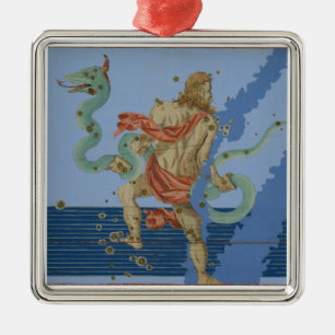 Constellation of Ophiuchus Group, from 'Uranometri Metal Tree Decoration