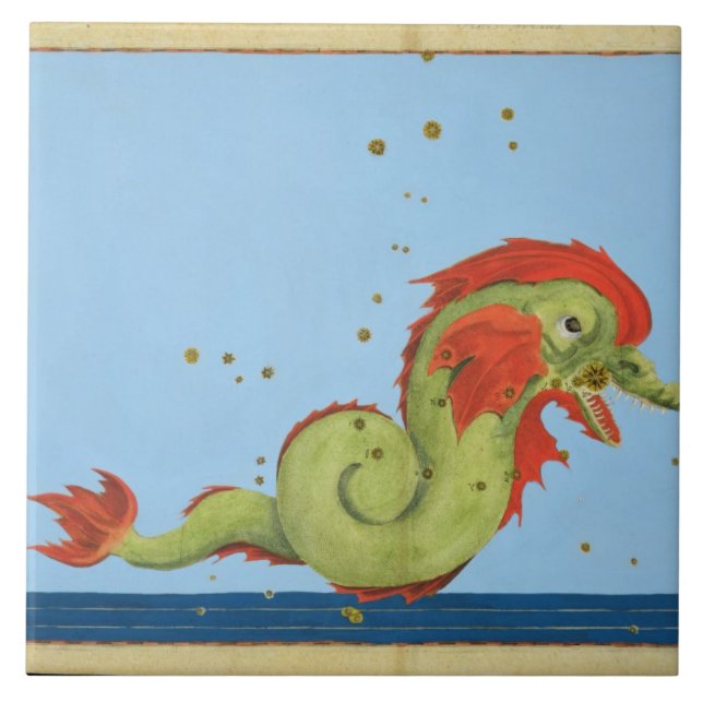 Constellation of Pisces, from 'Uranometria' by Joh Tile (Front)