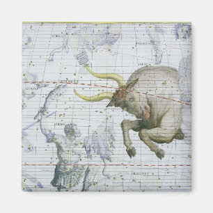 Constellation of Taurus, plate 2 from 'Atlas Coele Magnet