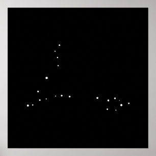 Constellation Pisces by Leslie Peppers Poster