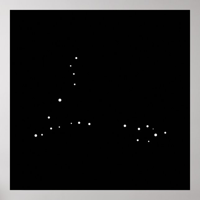 Constellation Pisces by Leslie Peppers Poster (Front)