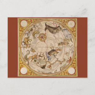 Constellation Stars Southern Sky Vintage Astronomy Postcard