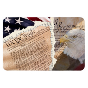 Constitution Magnet