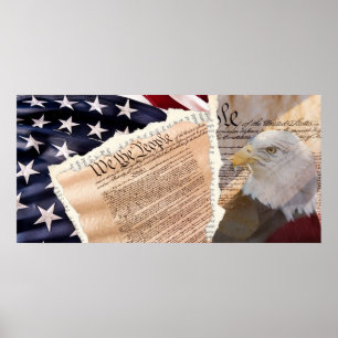 Constitution Poster