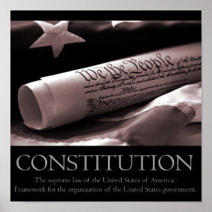 Constitution Poster