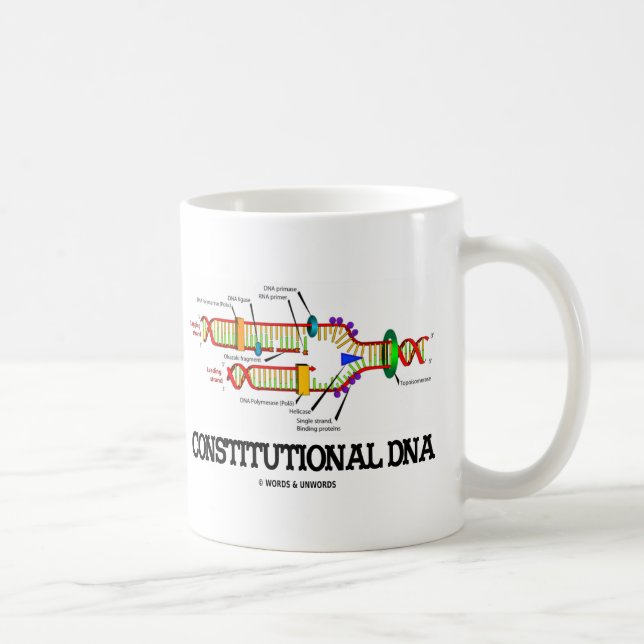Constitutional DNA (DNA Replication) Coffee Mug (Right)