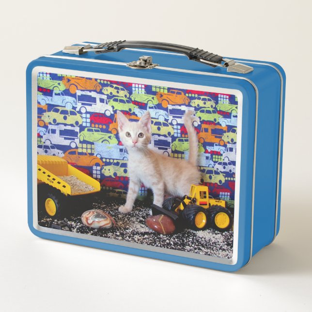 Construction Zone - Cat / Kitten Metal Lunch Box (Front)