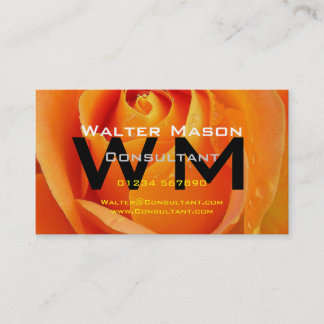 Consultant Create Your Own Easy Generic Business Card