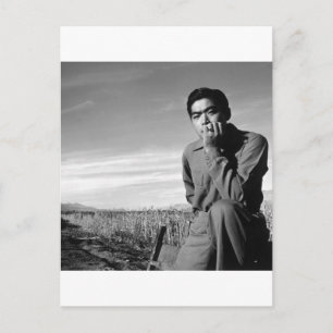 Contemplation at Manzanar, 1943 Postcard