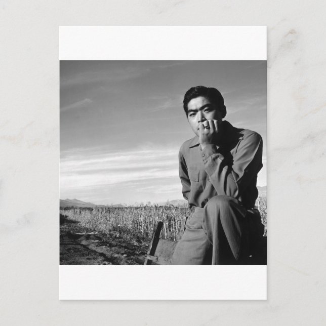 Contemplation at Manzanar, 1943 Postcard (Front)