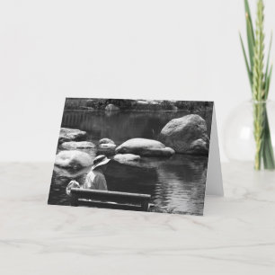 Contemplation, Big Springs Gardens Card