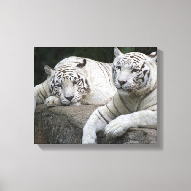 Contemplation Canvas Print (Front)