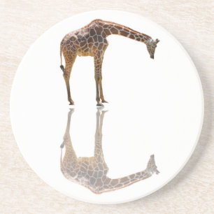 CONTEMPLATION COASTER