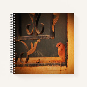 Contemplation Notebook