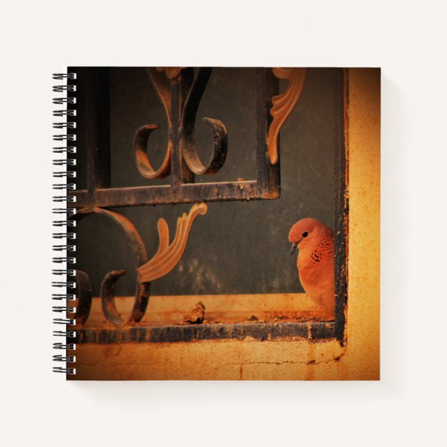 Contemplation Notebook (Front)