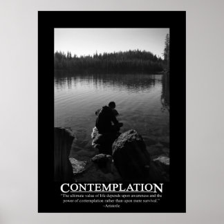 Contemplation Poster