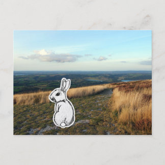 Contemplative Rabbit Postcard
