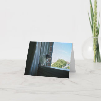Contemplative Rat "Wish You Were Here" Note Card